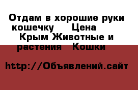 Отдам в хорошие руки кошечку.  › Цена ­ 10 - Крым Животные и растения » Кошки   